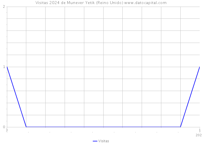 Visitas 2024 de Munever Yetik (Reino Unido) 