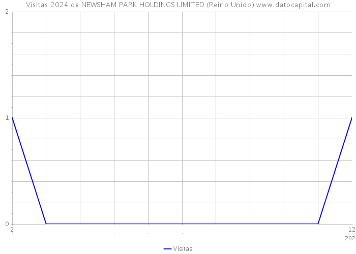 Visitas 2024 de NEWSHAM PARK HOLDINGS LIMITED (Reino Unido) 