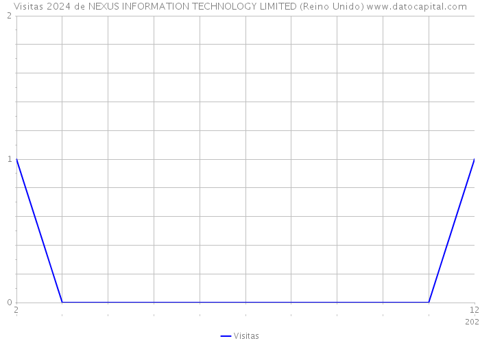 Visitas 2024 de NEXUS INFORMATION TECHNOLOGY LIMITED (Reino Unido) 