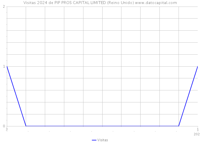 Visitas 2024 de PIP PROS CAPITAL LIMITED (Reino Unido) 