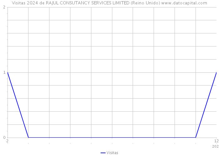 Visitas 2024 de RAJUL CONSUTANCY SERVICES LIMITED (Reino Unido) 