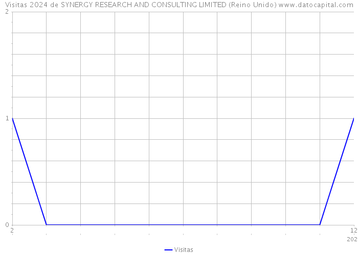 Visitas 2024 de SYNERGY RESEARCH AND CONSULTING LIMITED (Reino Unido) 