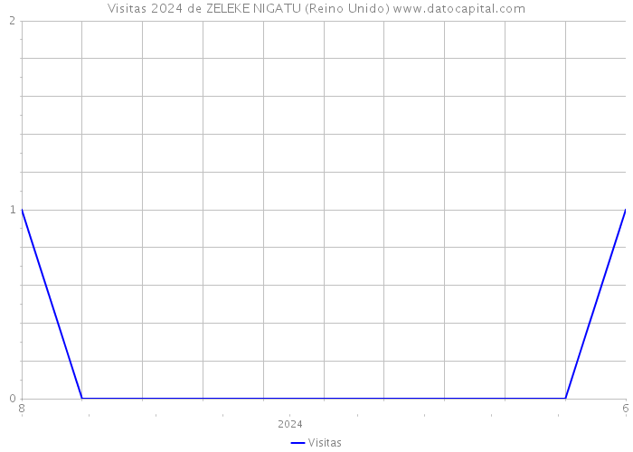 Visitas 2024 de ZELEKE NIGATU (Reino Unido) 