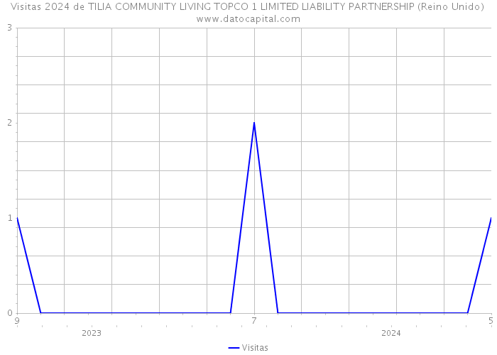 Visitas 2024 de TILIA COMMUNITY LIVING TOPCO 1 LIMITED LIABILITY PARTNERSHIP (Reino Unido) 