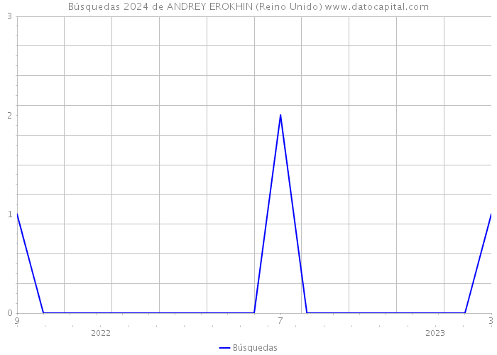 Búsquedas 2024 de ANDREY EROKHIN (Reino Unido) 