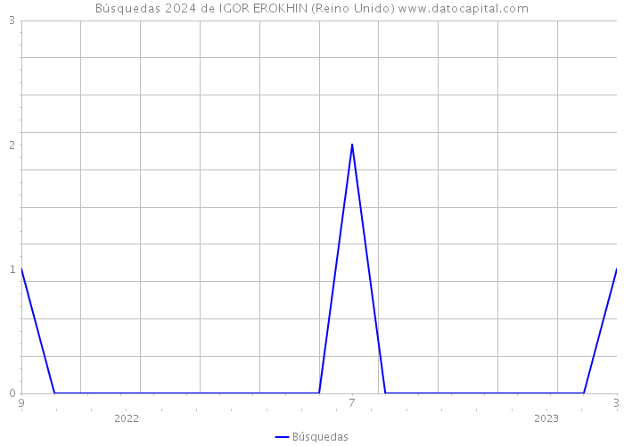 Búsquedas 2024 de IGOR EROKHIN (Reino Unido) 