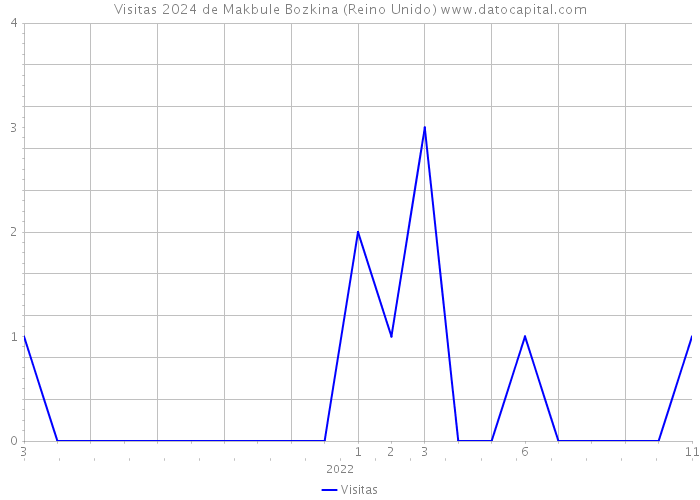 Visitas 2024 de Makbule Bozkina (Reino Unido) 