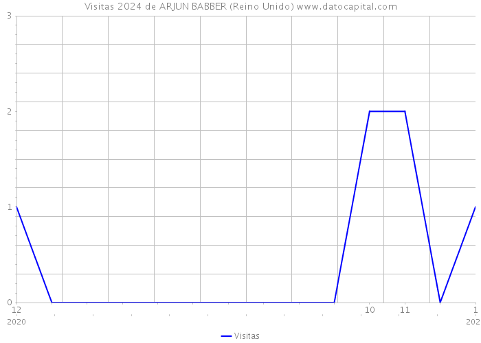 Visitas 2024 de ARJUN BABBER (Reino Unido) 