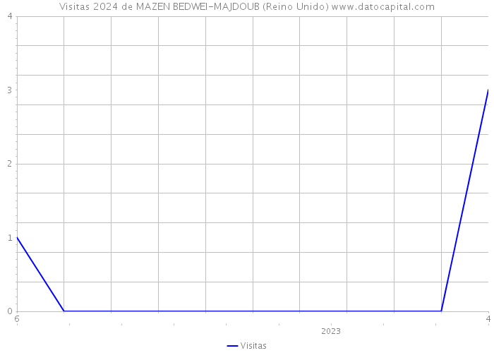 Visitas 2024 de MAZEN BEDWEI-MAJDOUB (Reino Unido) 