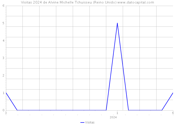 Visitas 2024 de Alvine Michelle Tchuisseu (Reino Unido) 