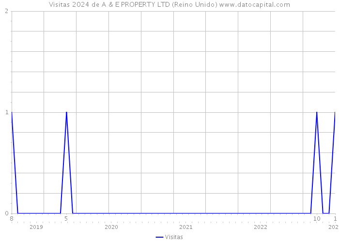 Visitas 2024 de A & E PROPERTY LTD (Reino Unido) 