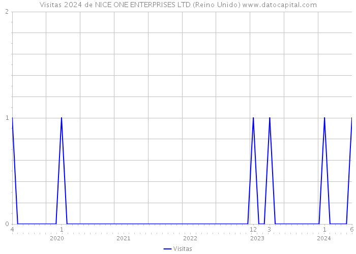 Visitas 2024 de NICE ONE ENTERPRISES LTD (Reino Unido) 