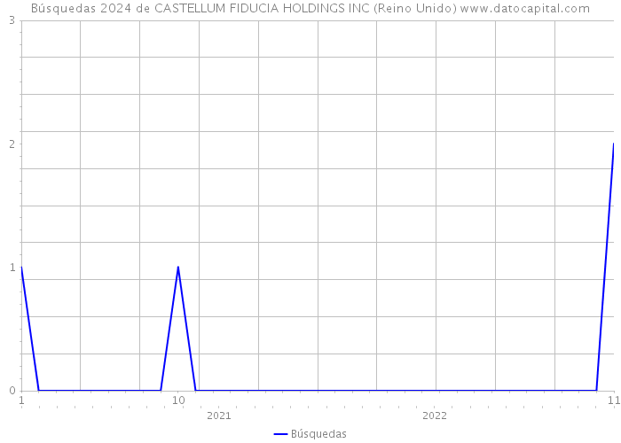 Búsquedas 2024 de CASTELLUM FIDUCIA HOLDINGS INC (Reino Unido) 