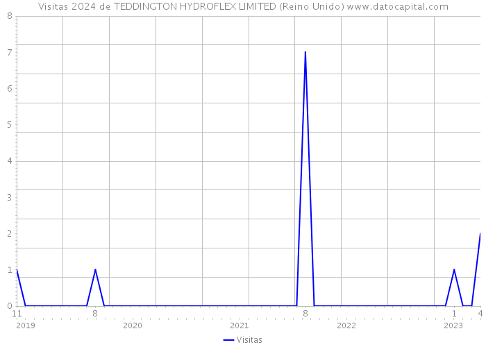 Visitas 2024 de TEDDINGTON HYDROFLEX LIMITED (Reino Unido) 