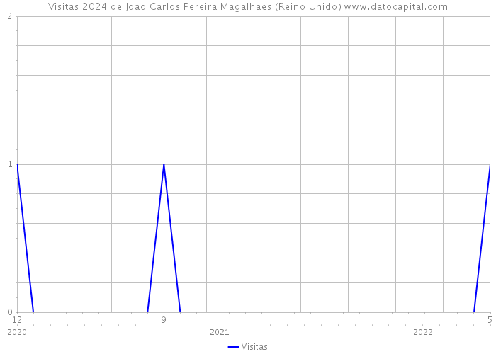 Visitas 2024 de Joao Carlos Pereira Magalhaes (Reino Unido) 
