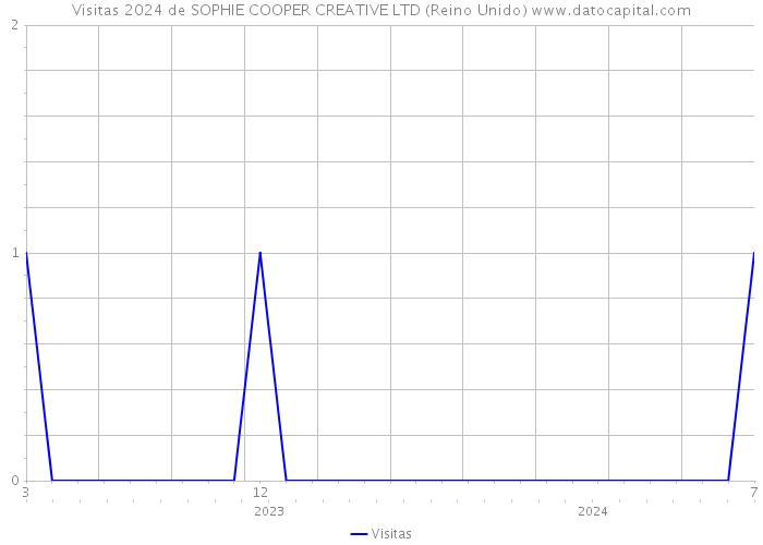 Visitas 2024 de SOPHIE COOPER CREATIVE LTD (Reino Unido) 