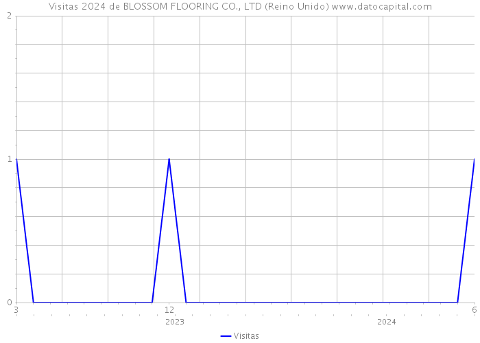 Visitas 2024 de BLOSSOM FLOORING CO., LTD (Reino Unido) 
