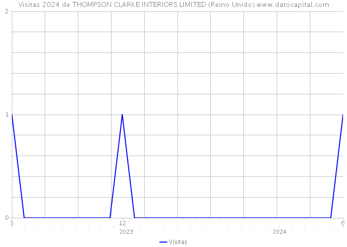 Visitas 2024 de THOMPSON CLARKE INTERIORS LIMITED (Reino Unido) 