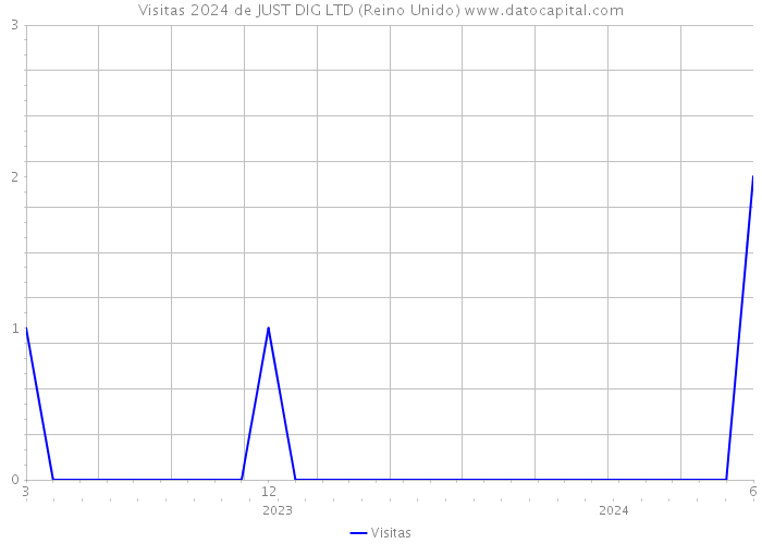 Visitas 2024 de JUST DIG LTD (Reino Unido) 