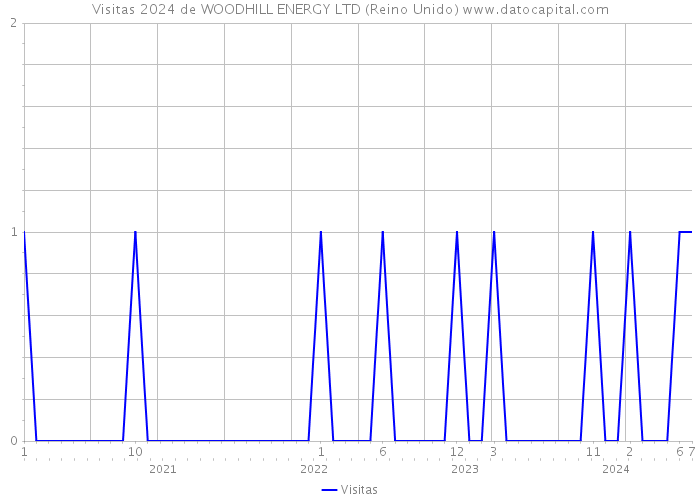 Visitas 2024 de WOODHILL ENERGY LTD (Reino Unido) 