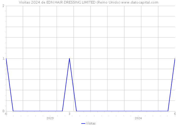 Visitas 2024 de EDN HAIR DRESSING LIMITED (Reino Unido) 