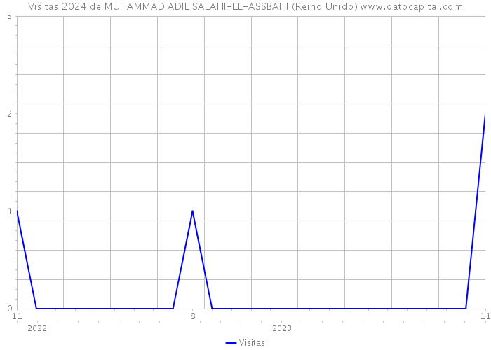 Visitas 2024 de MUHAMMAD ADIL SALAHI-EL-ASSBAHI (Reino Unido) 