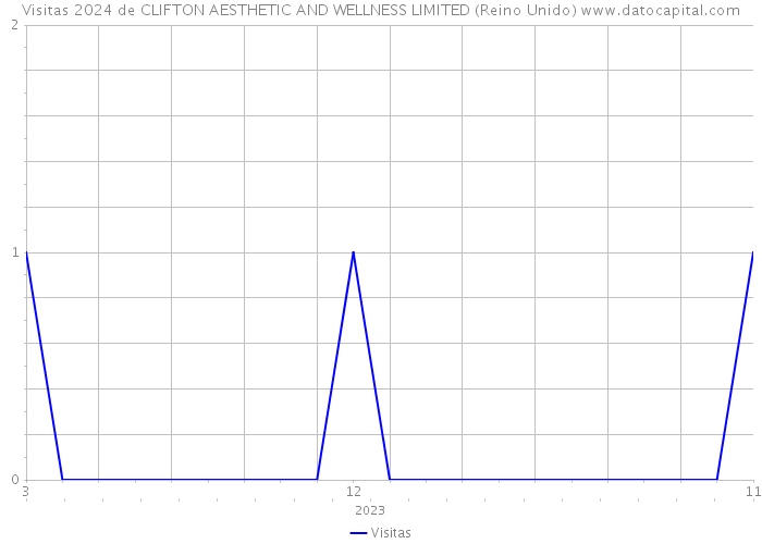 Visitas 2024 de CLIFTON AESTHETIC AND WELLNESS LIMITED (Reino Unido) 