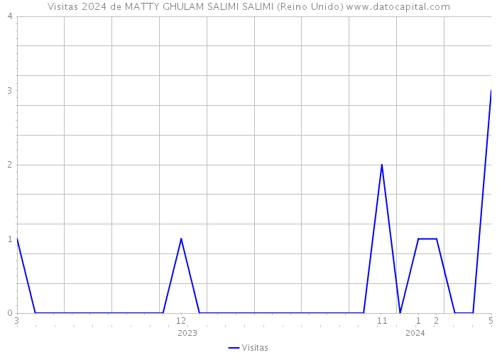 Visitas 2024 de MATTY GHULAM SALIMI SALIMI (Reino Unido) 