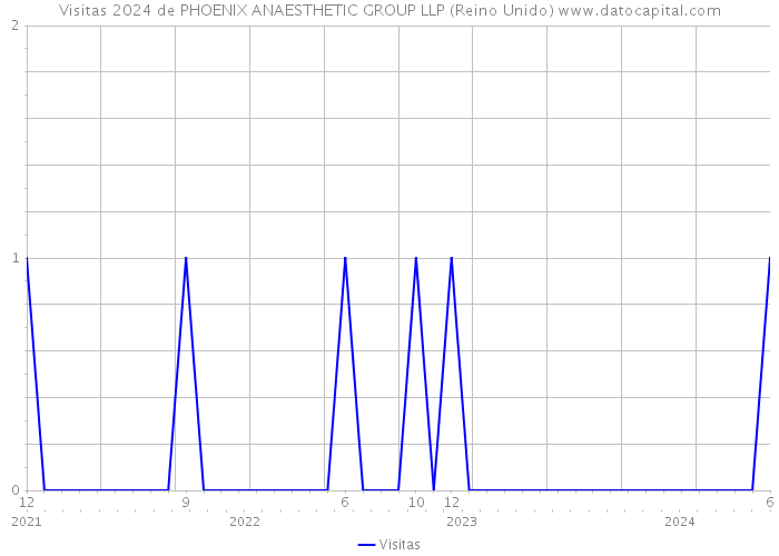 Visitas 2024 de PHOENIX ANAESTHETIC GROUP LLP (Reino Unido) 