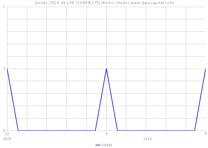 Visitas 2024 de LYE CUISINE LTD (Reino Unido) 