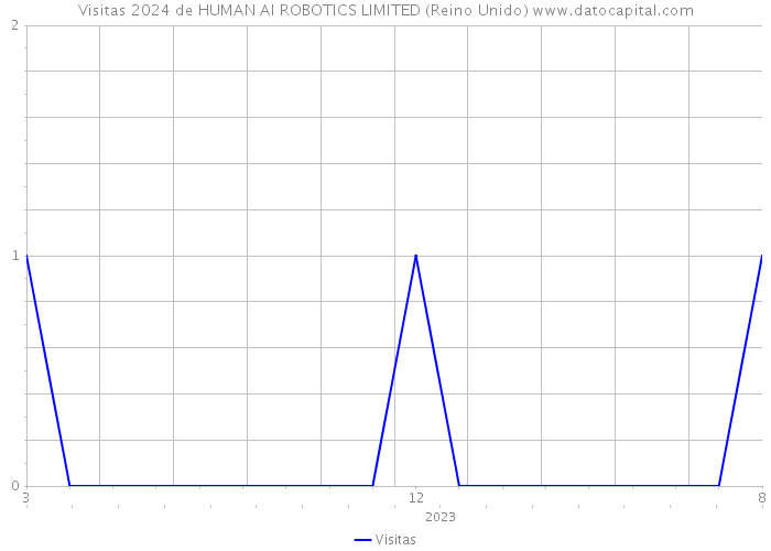 Visitas 2024 de HUMAN AI ROBOTICS LIMITED (Reino Unido) 