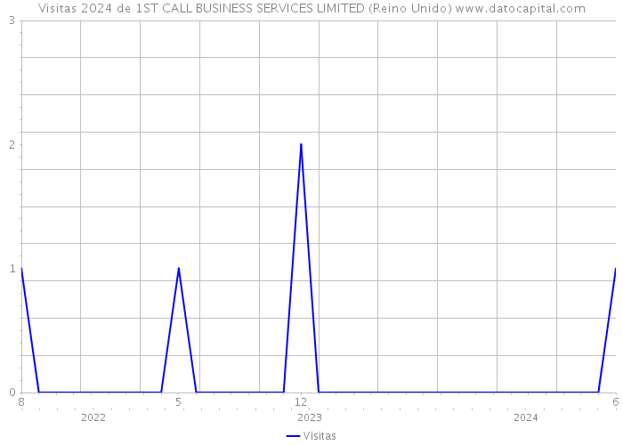 Visitas 2024 de 1ST CALL BUSINESS SERVICES LIMITED (Reino Unido) 