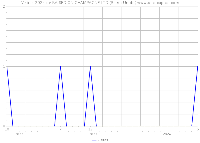 Visitas 2024 de RAISED ON CHAMPAGNE LTD (Reino Unido) 