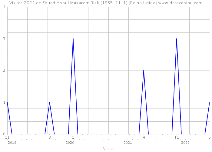 Visitas 2024 de Fouad Aboul Makarem Rizk (1935-11-1) (Reino Unido) 