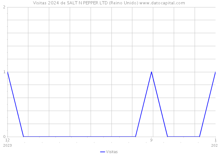 Visitas 2024 de SALT N PEPPER LTD (Reino Unido) 