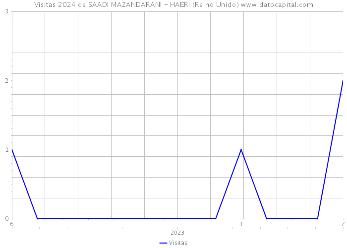 Visitas 2024 de SAADI MAZANDARANI - HAERI (Reino Unido) 