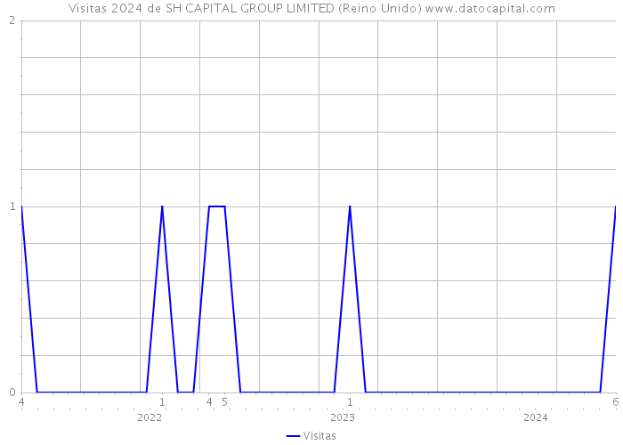 Visitas 2024 de SH CAPITAL GROUP LIMITED (Reino Unido) 