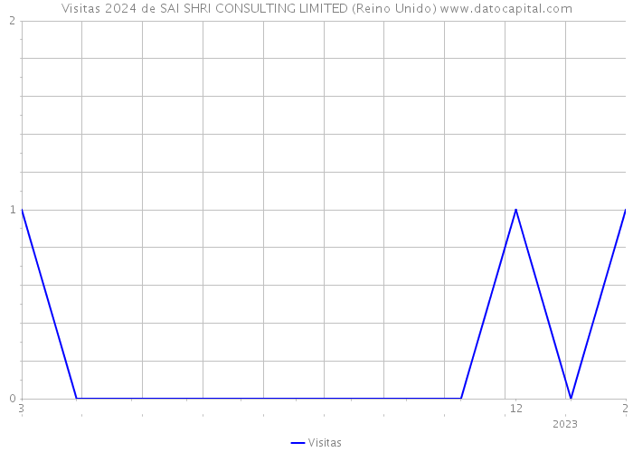 Visitas 2024 de SAI SHRI CONSULTING LIMITED (Reino Unido) 