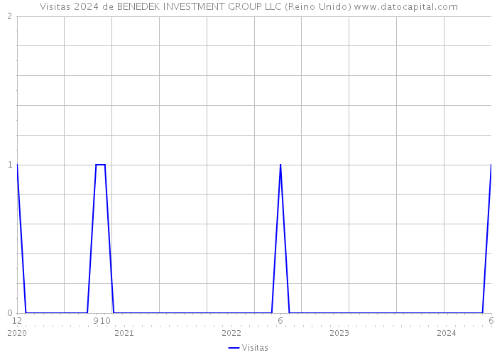 Visitas 2024 de BENEDEK INVESTMENT GROUP LLC (Reino Unido) 