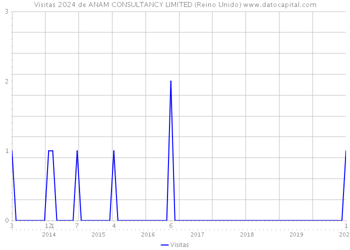 Visitas 2024 de ANAM CONSULTANCY LIMITED (Reino Unido) 