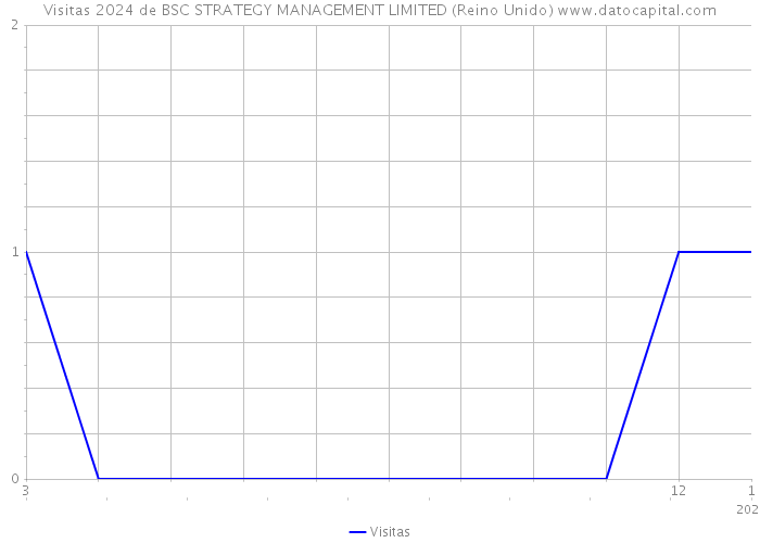 Visitas 2024 de BSC STRATEGY MANAGEMENT LIMITED (Reino Unido) 