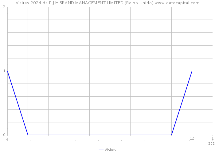 Visitas 2024 de P J H BRAND MANAGEMENT LIMITED (Reino Unido) 