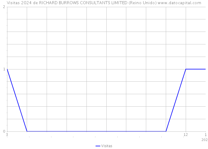 Visitas 2024 de RICHARD BURROWS CONSULTANTS LIMITED (Reino Unido) 