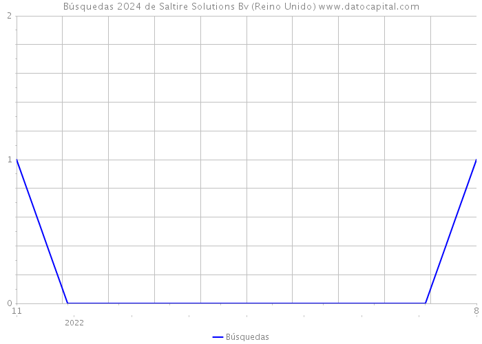 Búsquedas 2024 de Saltire Solutions Bv (Reino Unido) 