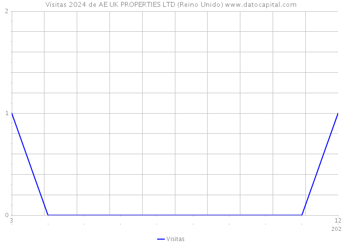 Visitas 2024 de AE UK PROPERTIES LTD (Reino Unido) 