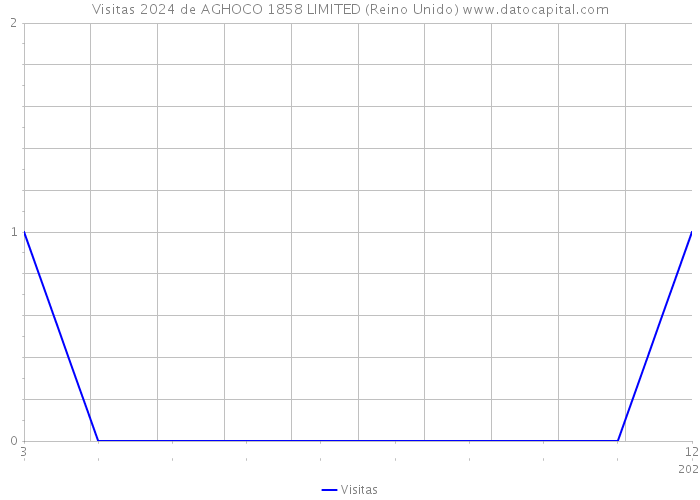 Visitas 2024 de AGHOCO 1858 LIMITED (Reino Unido) 