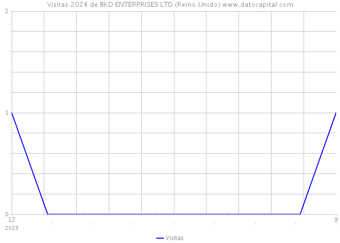 Visitas 2024 de BKD ENTERPRISES LTD (Reino Unido) 