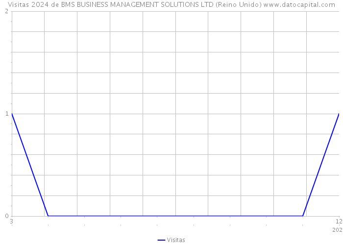 Visitas 2024 de BMS BUSINESS MANAGEMENT SOLUTIONS LTD (Reino Unido) 