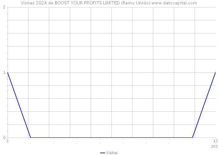 Visitas 2024 de BOOST YOUR PROFITS LIMITED (Reino Unido) 