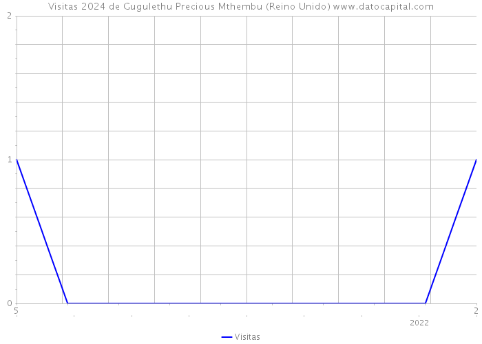 Visitas 2024 de Gugulethu Precious Mthembu (Reino Unido) 